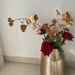 Boutique Kaya Apartamento *