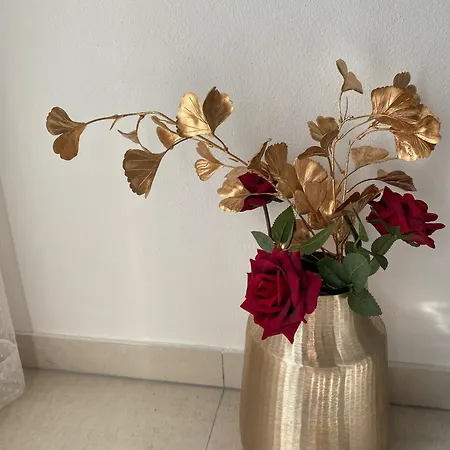 Boutique Kaya Apartament *